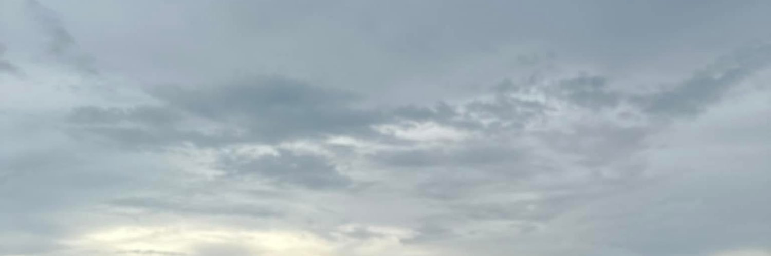 deer🦌 banner
