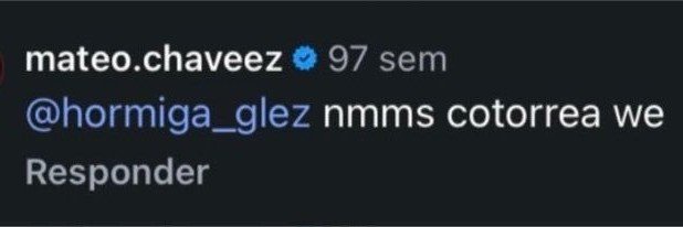 camisocool's profile banner image