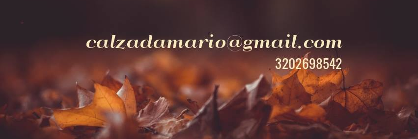 marcalzag's profile banner image