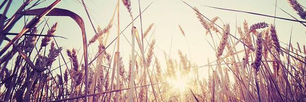 MeganDerkey Profile Banner