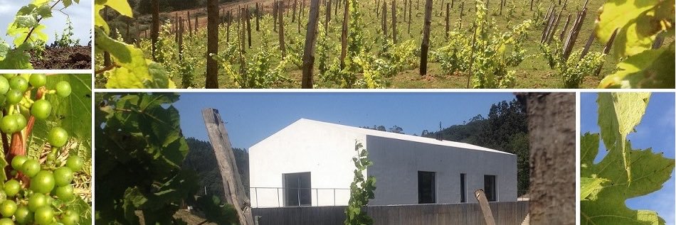 BodegaElPendo's profile banner image