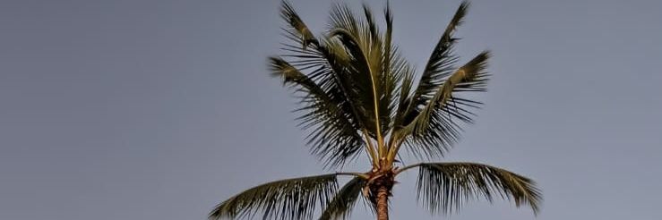 merilon96's profile banner image