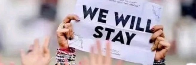 Pauli🦋 banner
