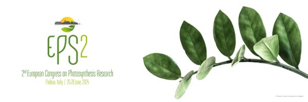 2024_ePS2 Profile Banner