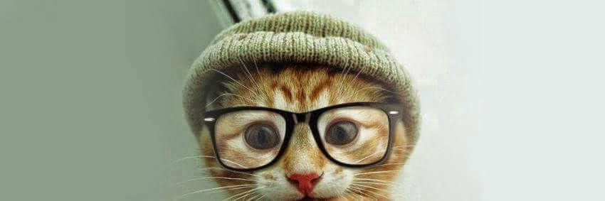 vegaskater's profile banner image