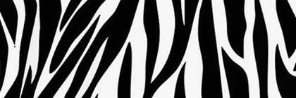 AldiStriglio's profile banner image