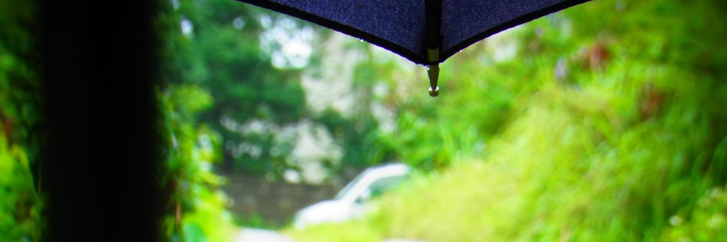 3_cuckoo's profile banner image