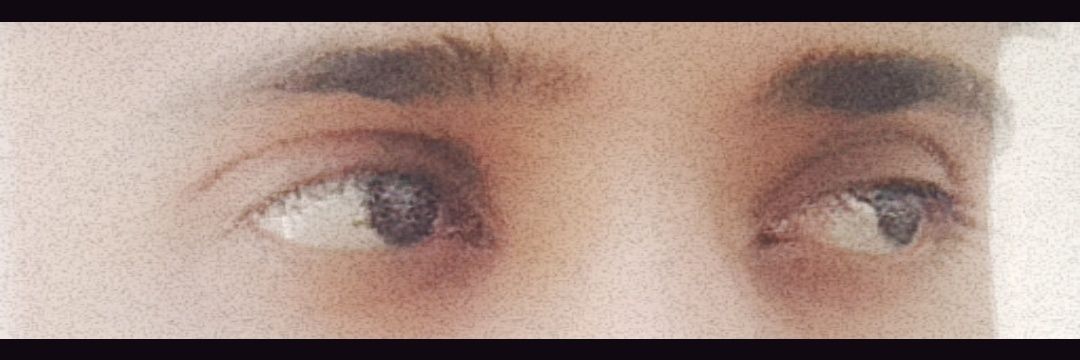 009 banner