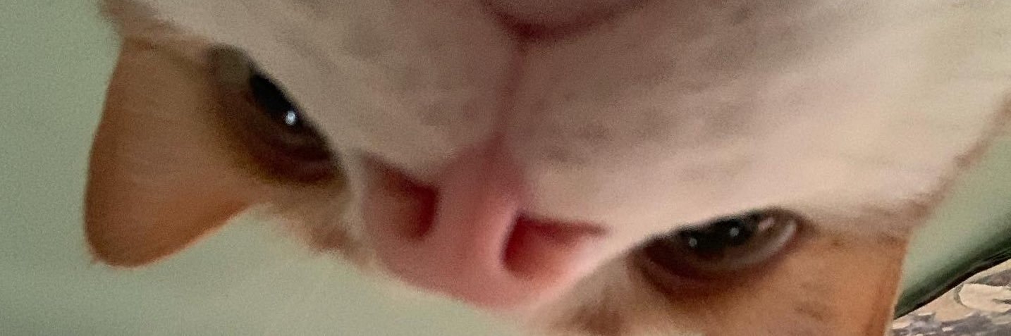 Geegabyte's profile banner image
