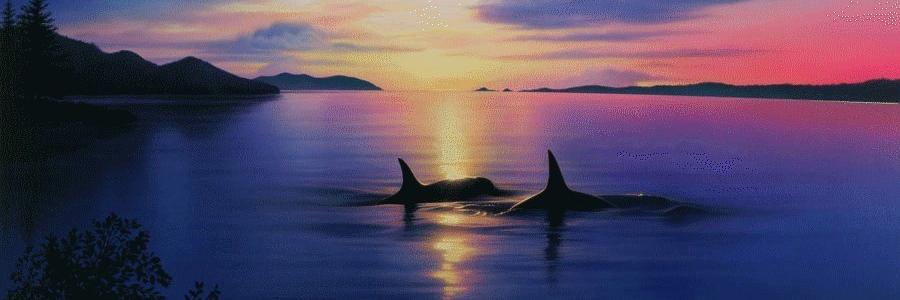 Captivity Sucks banner