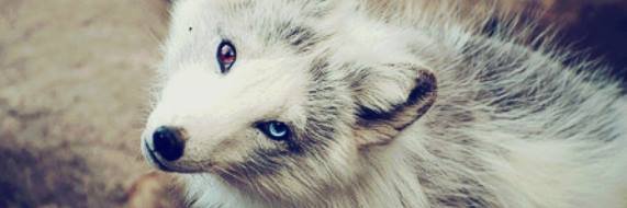 JessBenatto's profile banner image