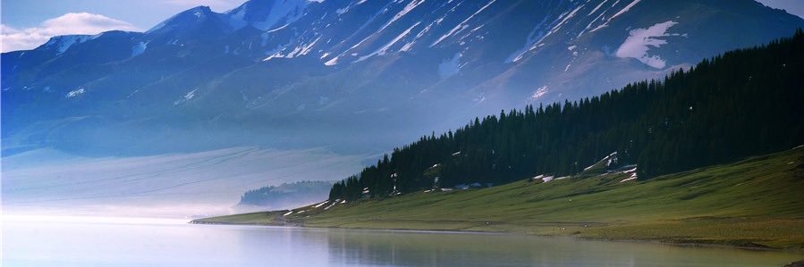 meet_ft's profile banner image