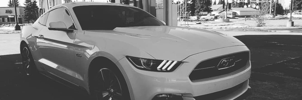 maxdye31's profile banner image