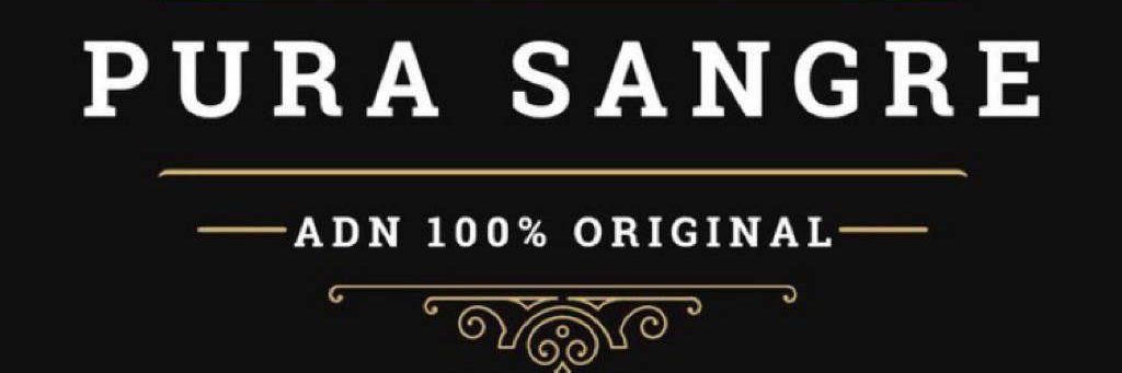 NB👋 banner