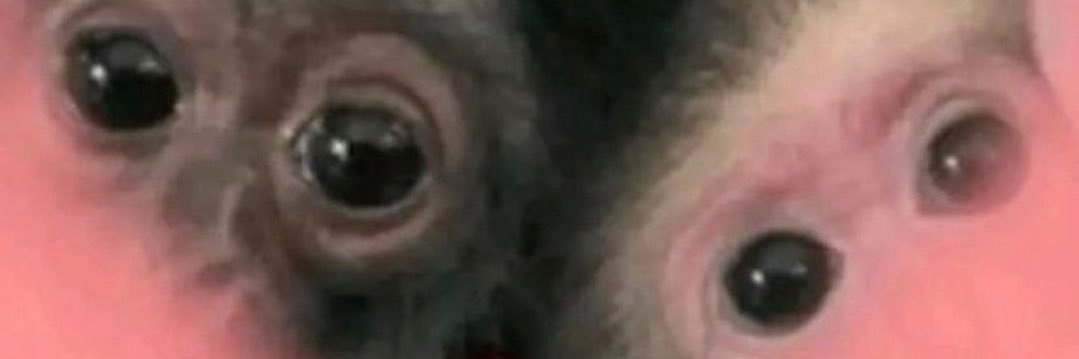 hereformyhubby's profile banner image