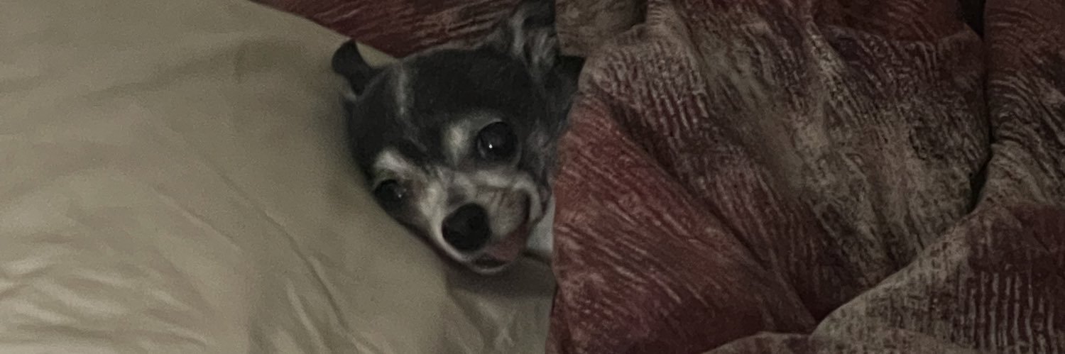 Bubba_Guzman's profile banner image
