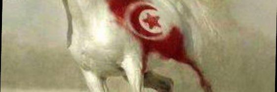 aslantese's profile banner image