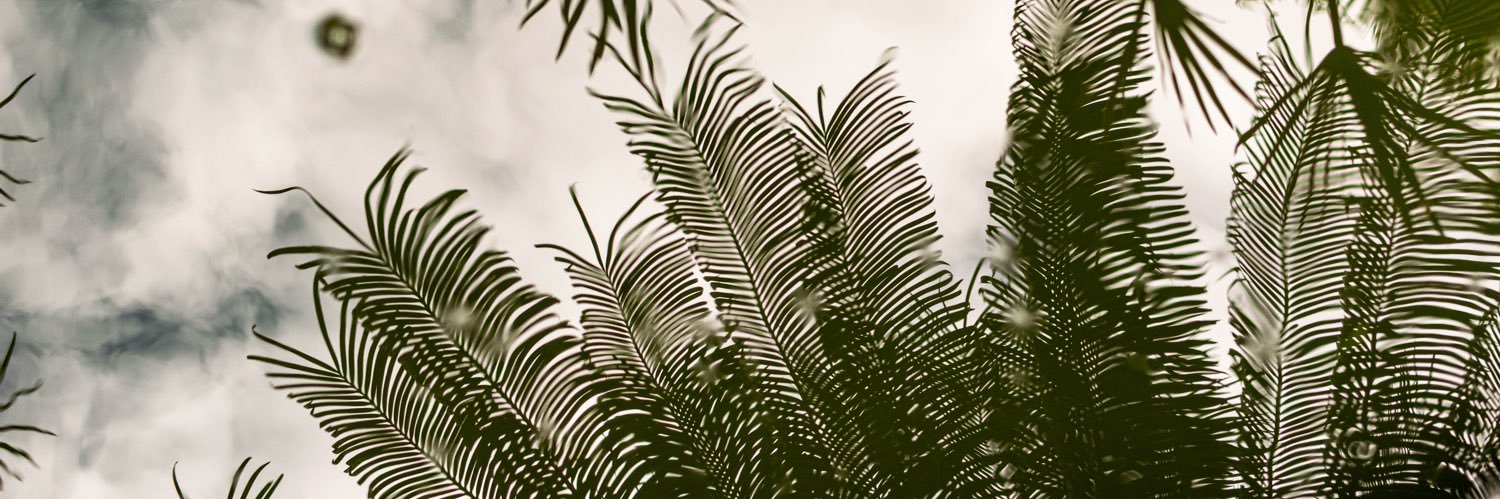marinalordelo's profile banner image