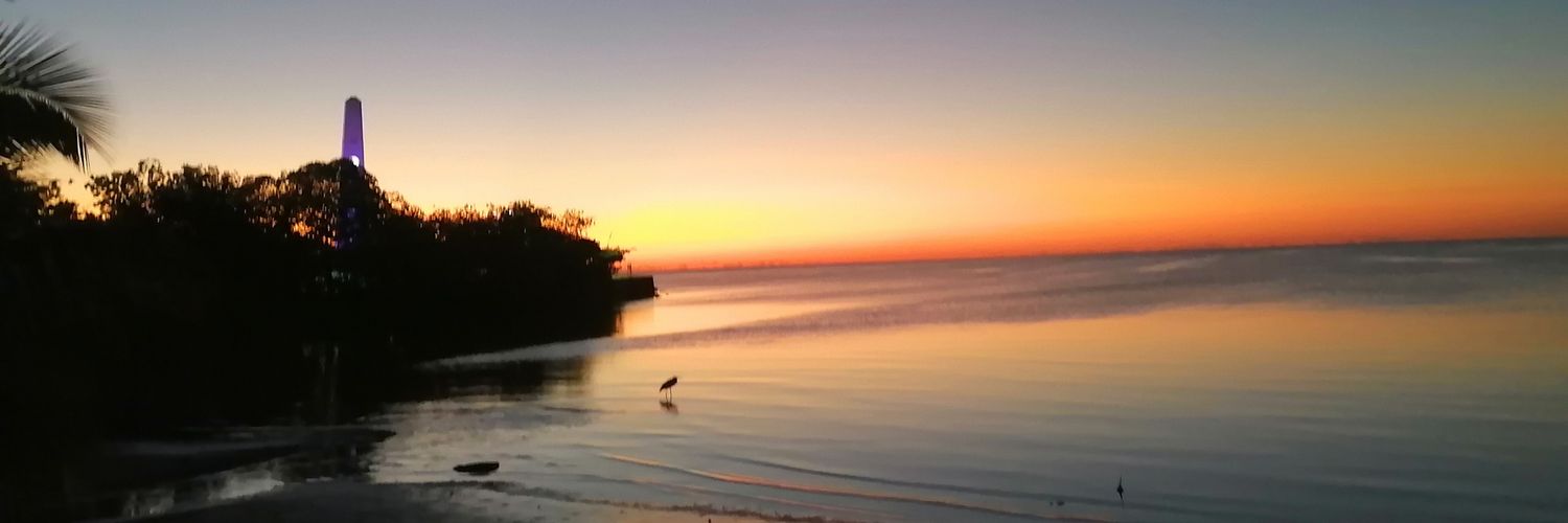 lauraCobos__'s profile banner image