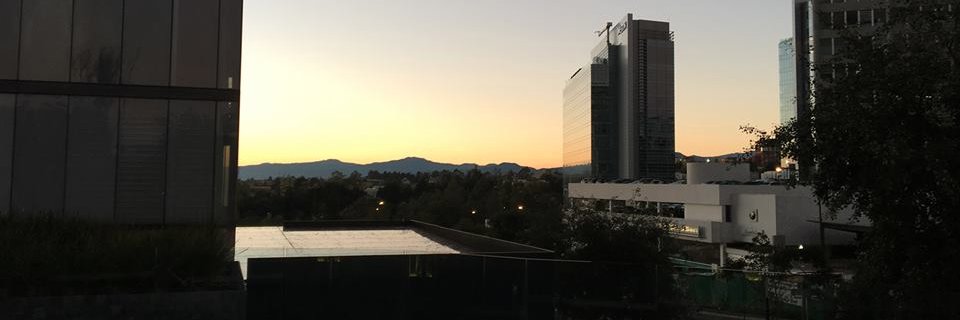 zziicc's profile banner image