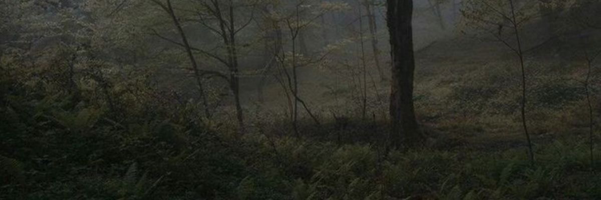 FOUNDERSHP's profile banner image