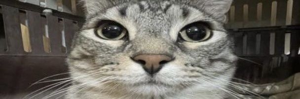 Snuubz's banner