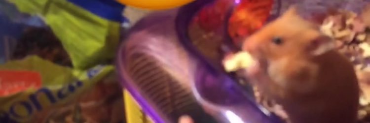YouWantAmil's profile banner image