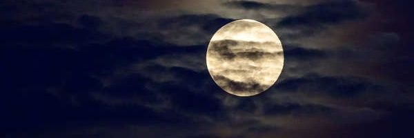 maxavnxam's profile banner image