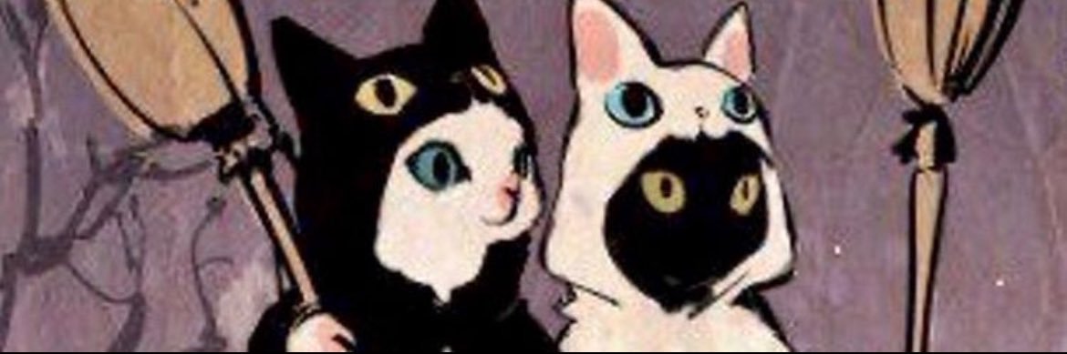 nn | tbf banner
