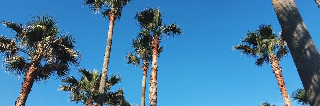 kzki16's profile banner image