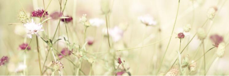 Manuela Glez Sobrat banner