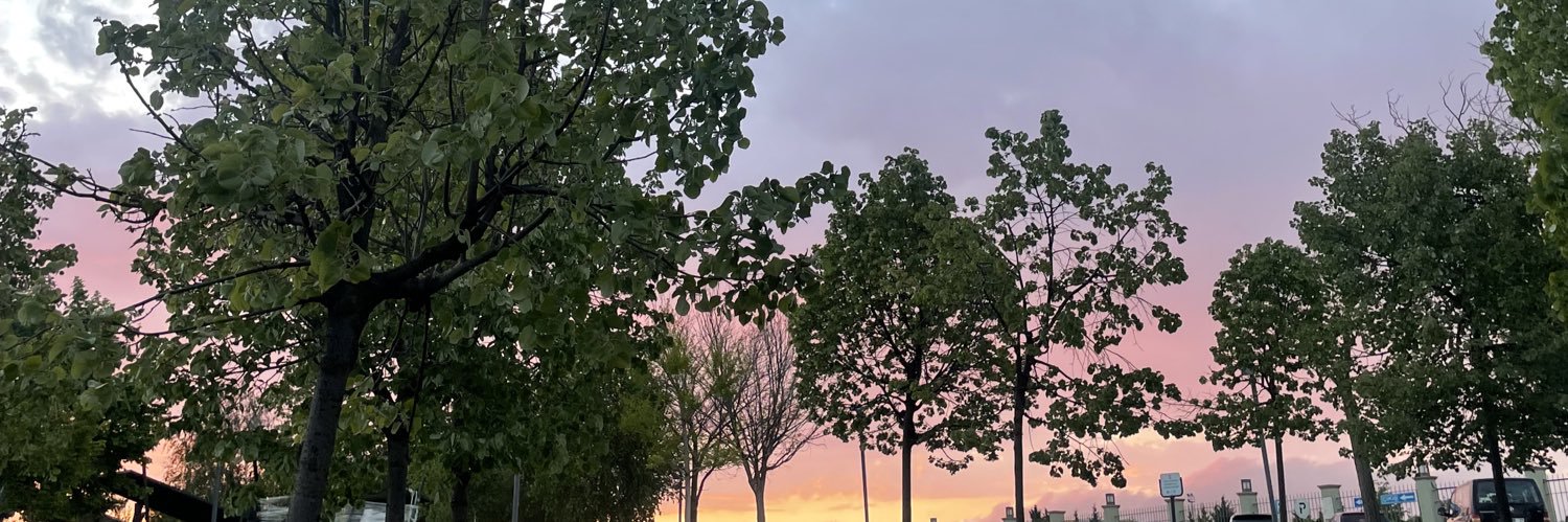 ctastann's profile banner image