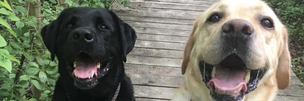 staceybz_ Profile Banner