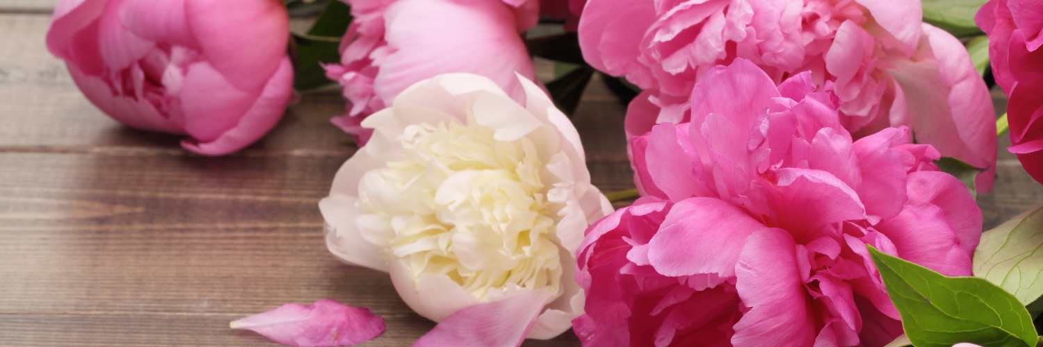 Flowers Made Easy banner