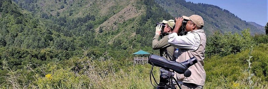 THE BIRDER'S STORE banner