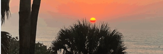 Linda Cameron banner