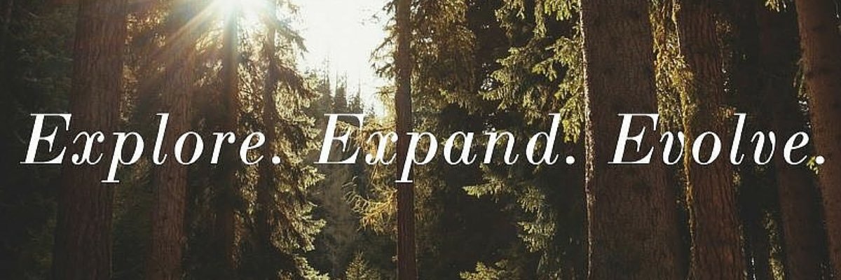 MissAcinom's profile banner image