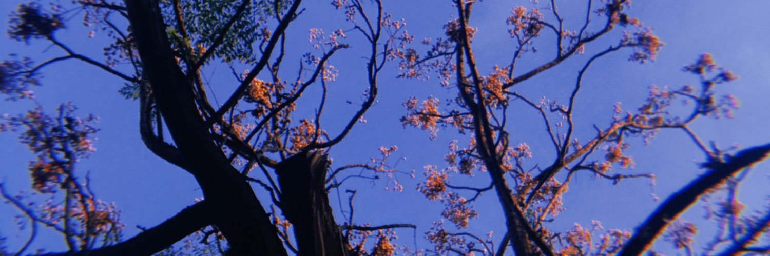 _staines_0's profile banner image