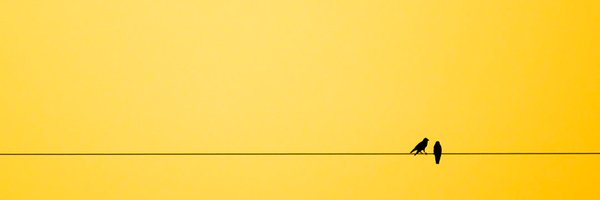 DisseTeo Profile Banner