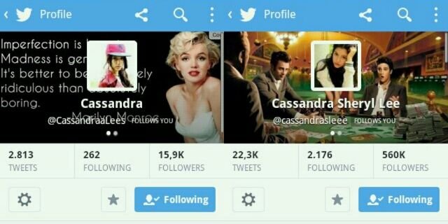 CassieversMALY's profile banner image