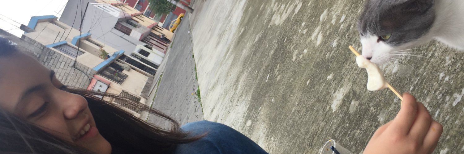 Gabyt37's profile banner image