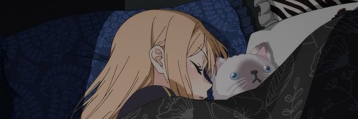 توتا banner