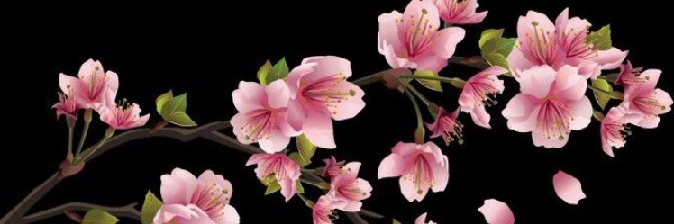 busra_1944's profile banner image