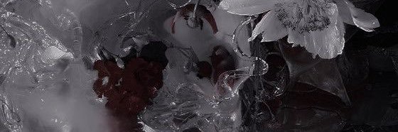 𝒩𝒶𝓎𝓊♡ banner