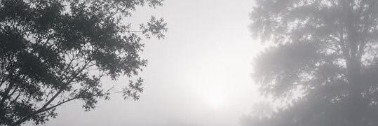 naj banner