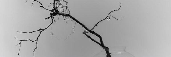 Toptap_jirakit Profile Banner