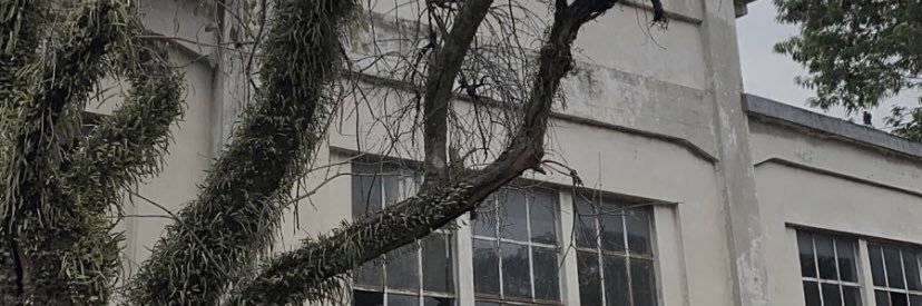 kmlatssdyh's profile banner image