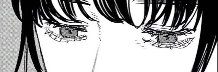 ☆ミ banner