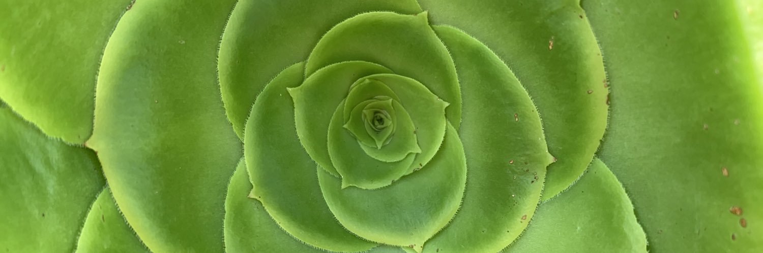 jocofil's profile banner image