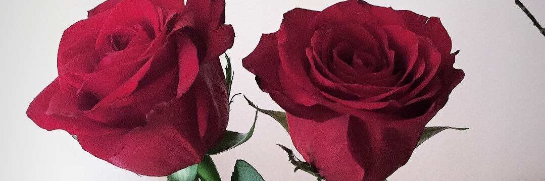 soco97's profile banner image